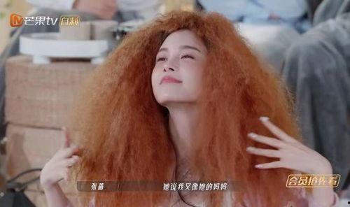 浪姐八卦爆料大全最新,揭秘娱乐圈最新热点事件