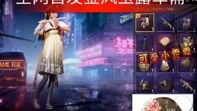 最新军需爆料新闻事件,揭秘我国军需装备升级背后的故事